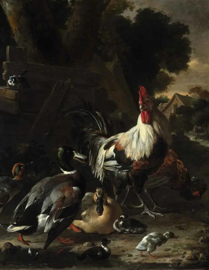 Anatre, polli e altri volatili in un cortile - Melchior de Hondecoeter