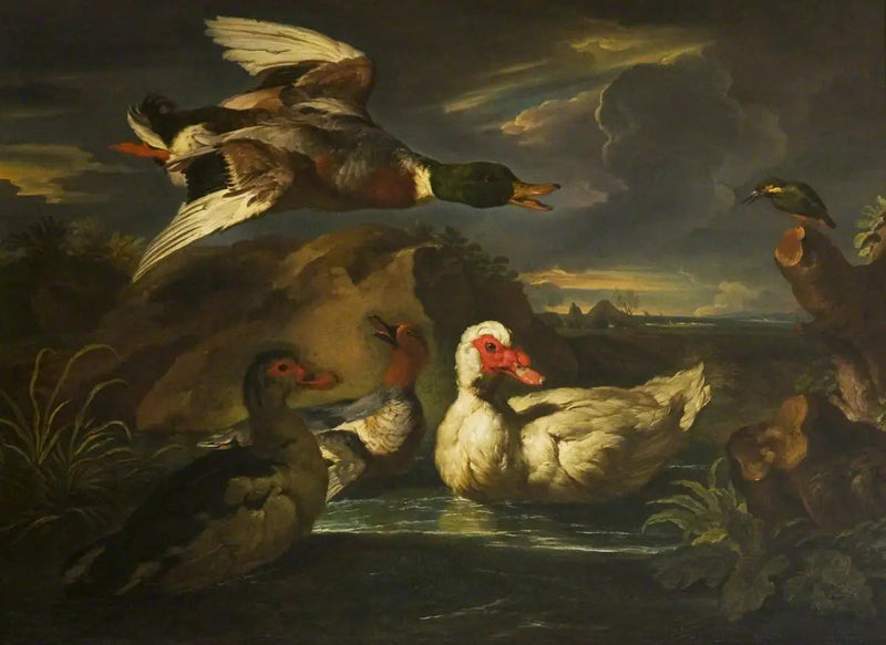 Canards sauvages con martin-pêcheur - Melchior de Hondecoeter
