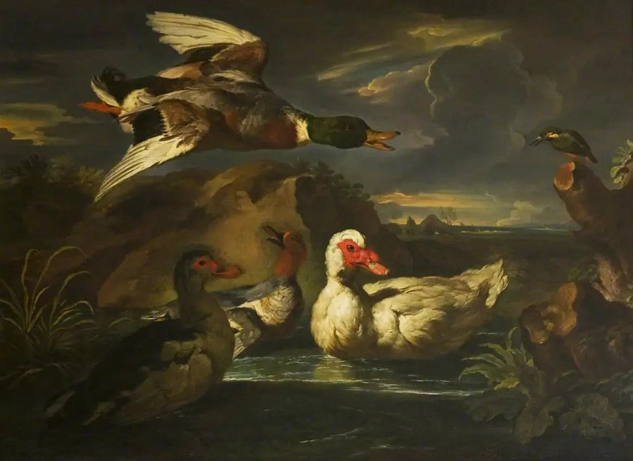 Canards sauvages con martin-pêcheur - Melchior de Hondecoeter