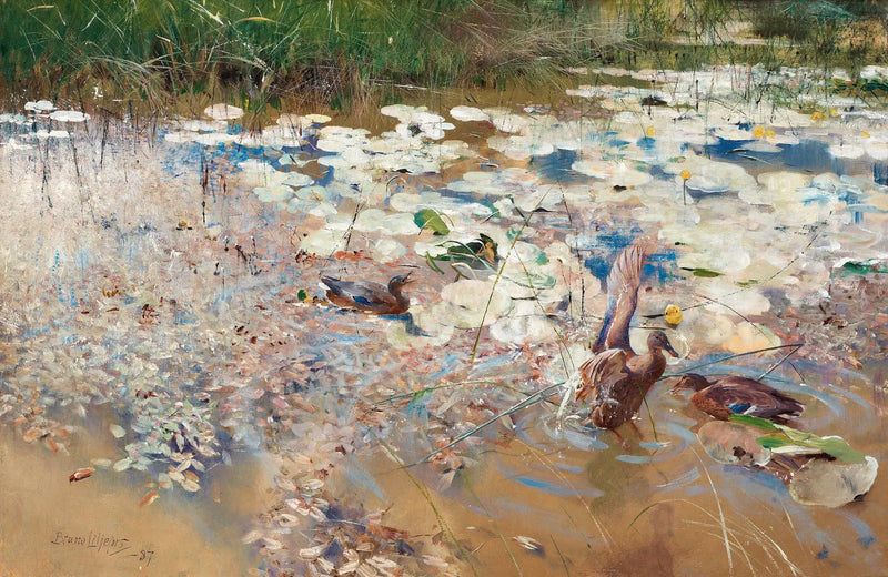 anatre selvatiche - Bruno Liljefors