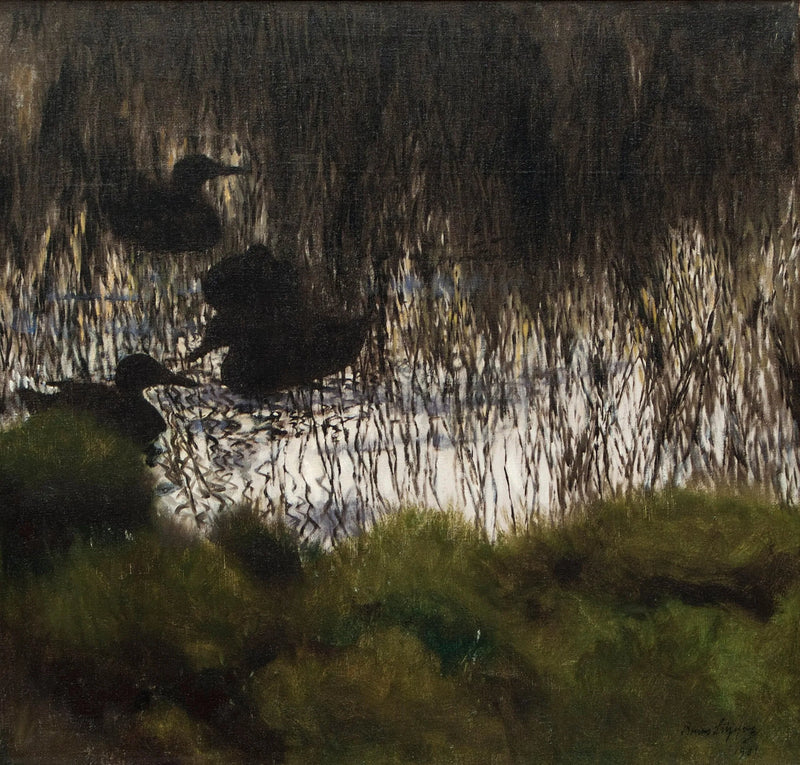 Anatre selvatiche tra le canne - Bruno Liljefors