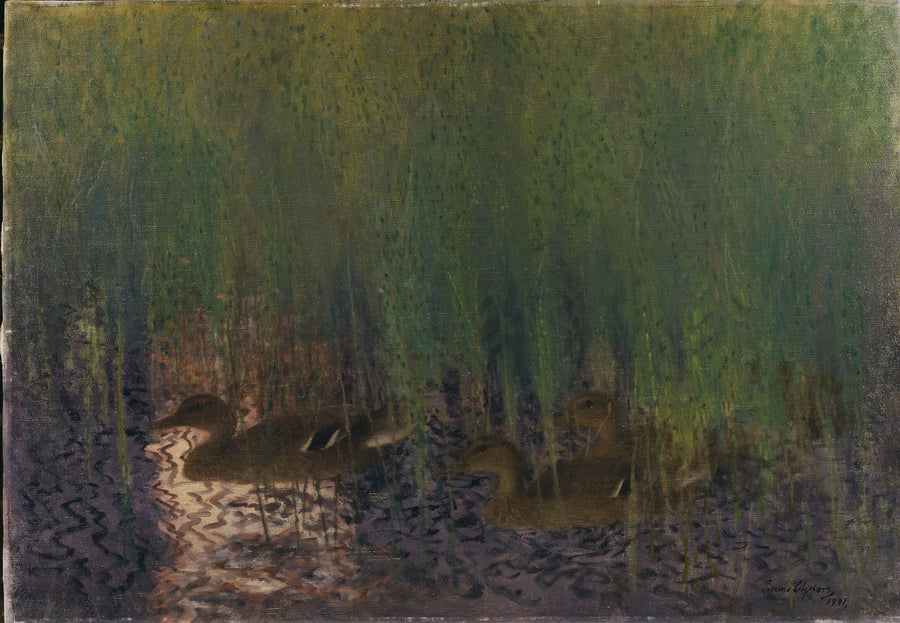 Anatre selvatiche in coda di cavallo - Bruno Liljefors