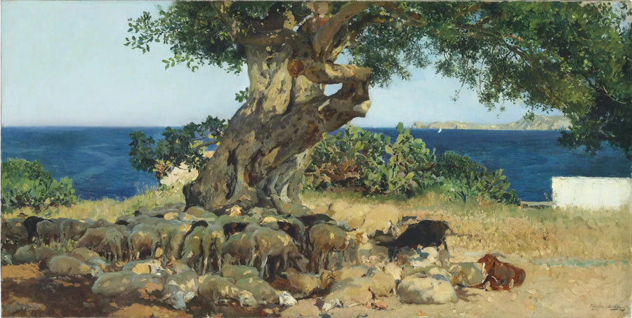Carrubo - Joaquín Sorolla