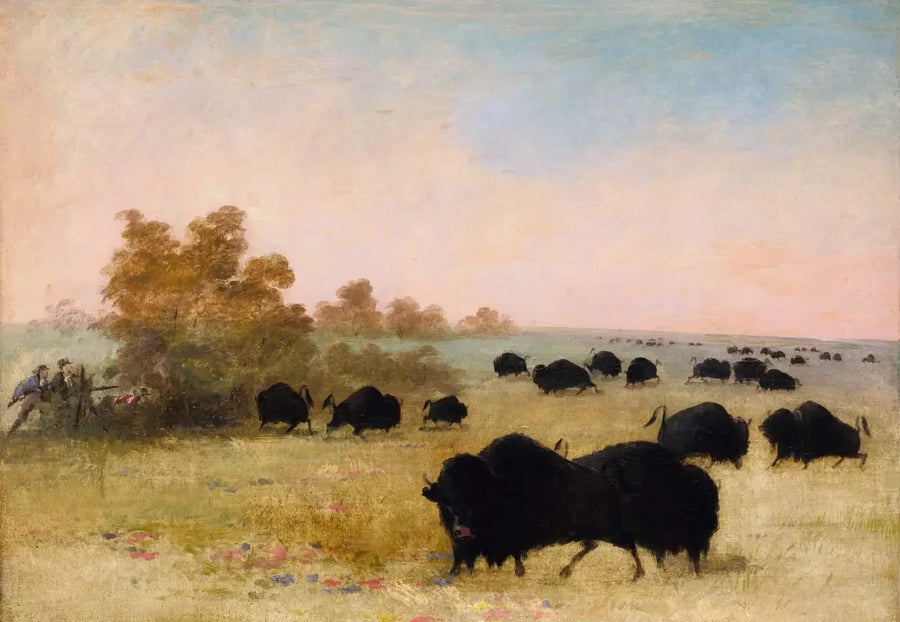 Catlin e Party Stalking Buffalo, Haut-Missouri - George Catlin
