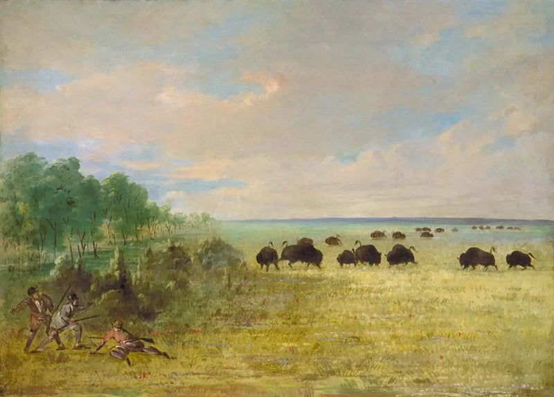 Catlin e Party inseguono Buffalo in Texas - George Catlin