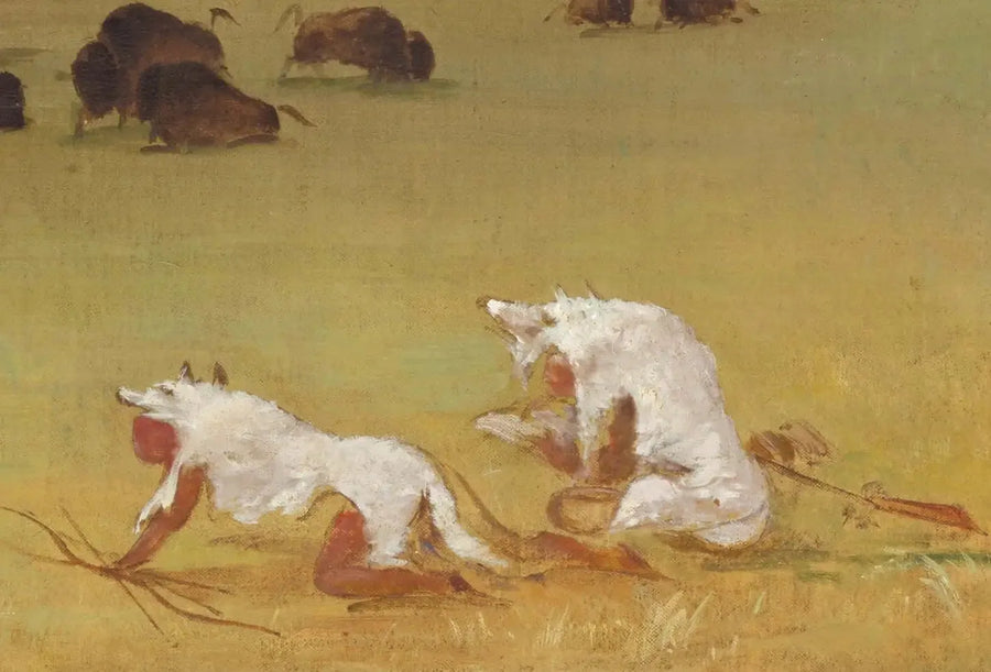 Catlin e la sua guida indiana che si avvicinano al bisonte sotto pelli di lupo bianco - George Catlin