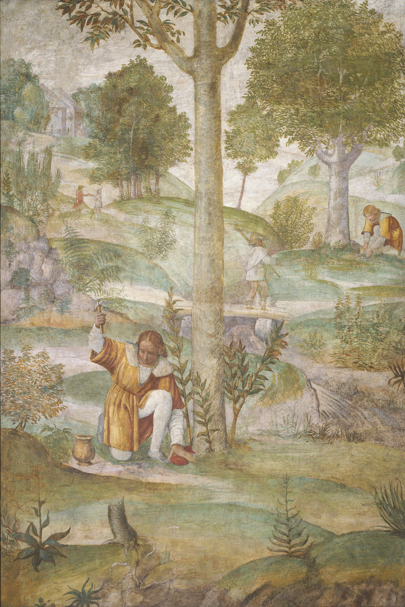 Testa che nasconde i gioielli - Bernardino Luini
