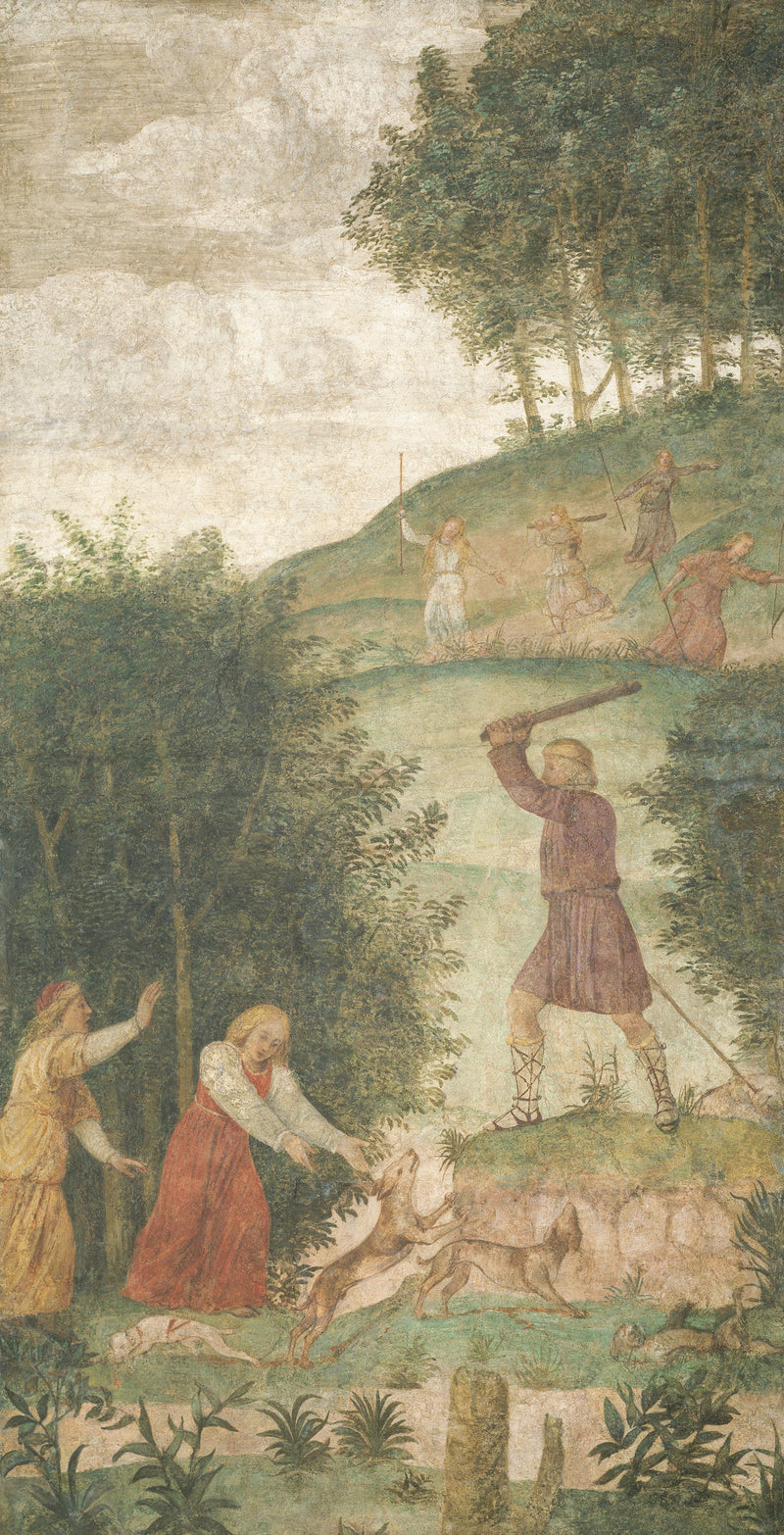 Testa punita durante la caccia - Bernardino Luini