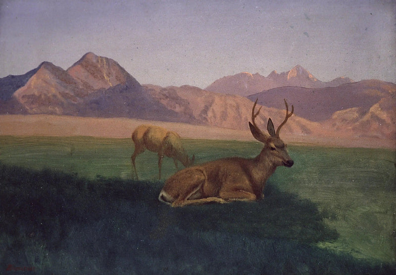 Cervi - Albert Bierstadt
