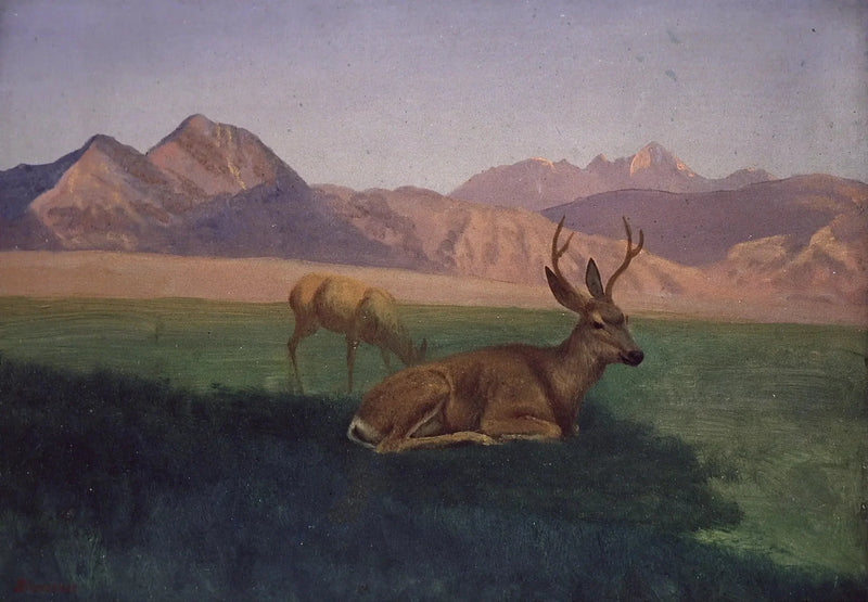 Cervi - Albert Bierstadt