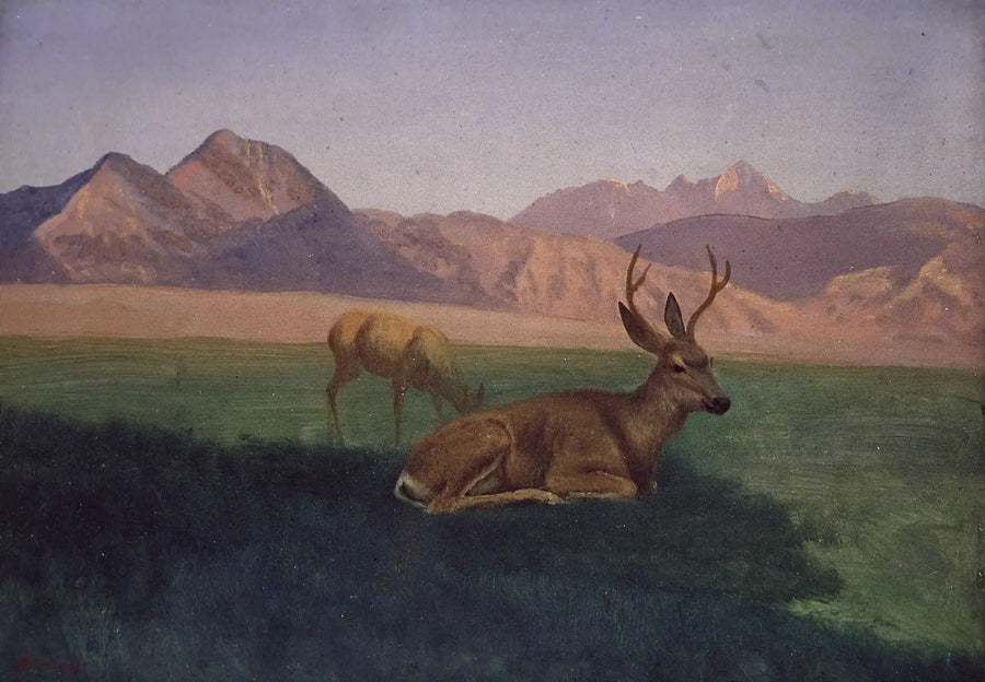 Cervi - Albert Bierstadt