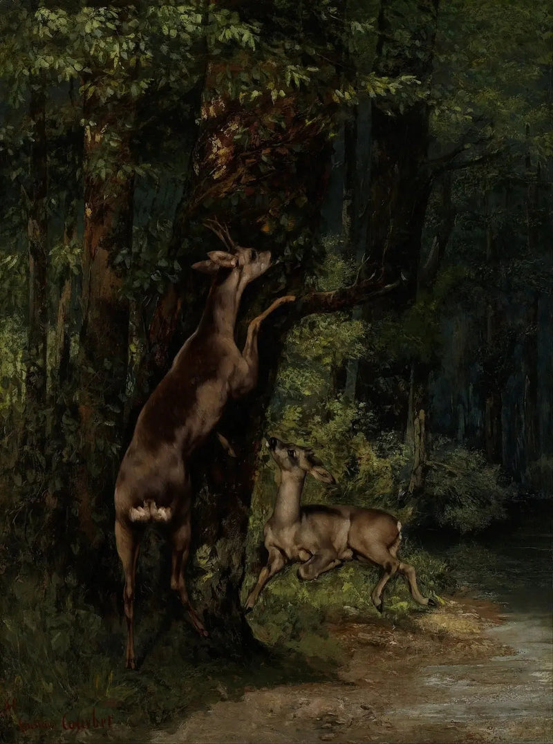 Cervi nella foresta - Gustave Courbet