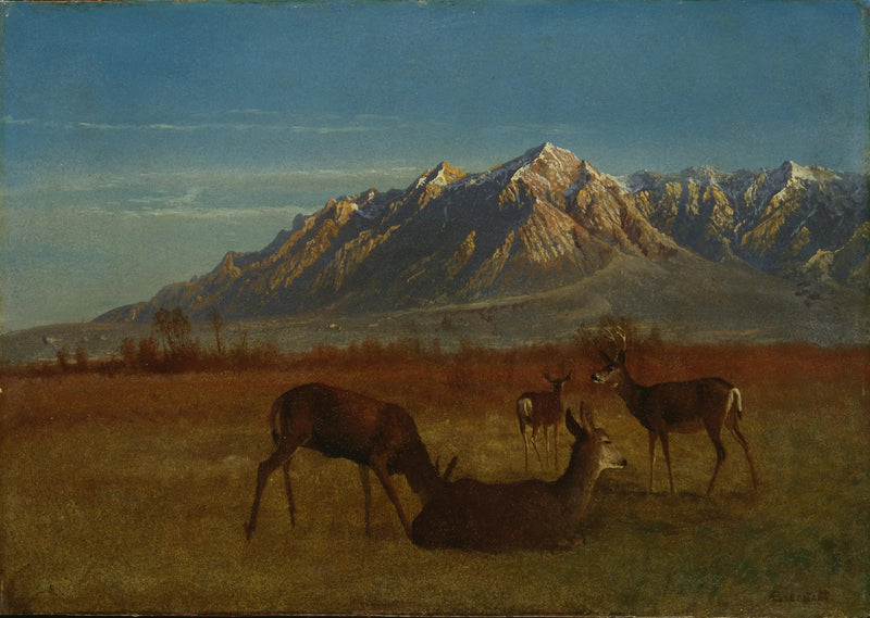 Cervi in una casa di montagna - Albert Bierstadt