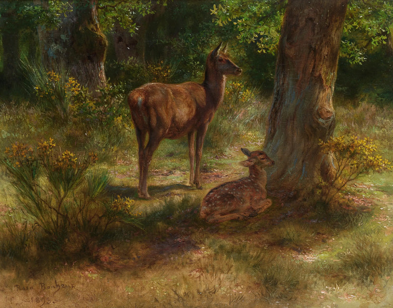 Cerf e cerbiatto in un bosco - Rosa Bonheur