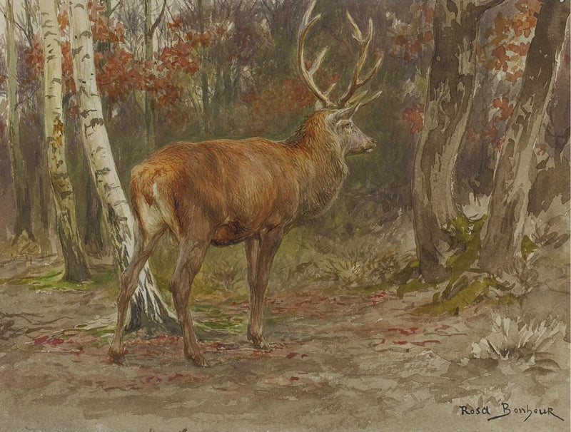 Cerf vigilante - Rosa Bonheur