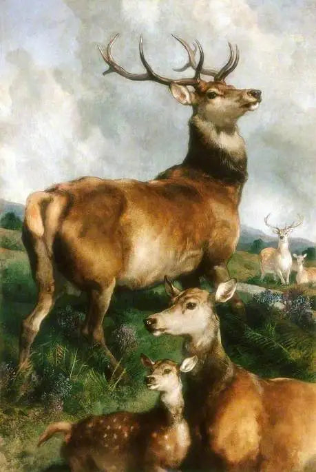 Cervi del parco di Chillingham, Northumberland - Edwin Henry Landseer