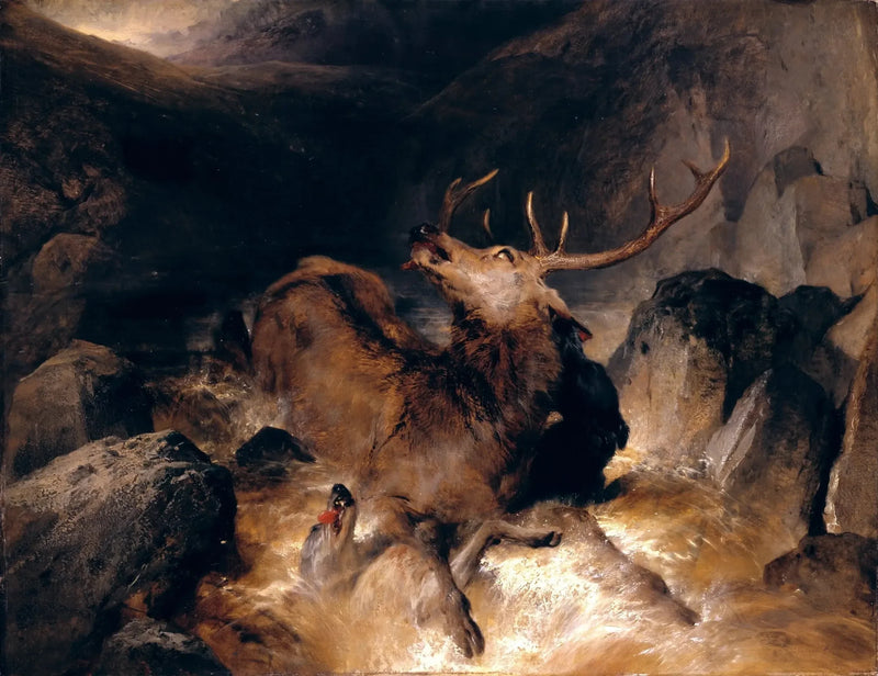 Cerfs e cani da caccia in un torrente di montagna - Edwin Henry Landseer