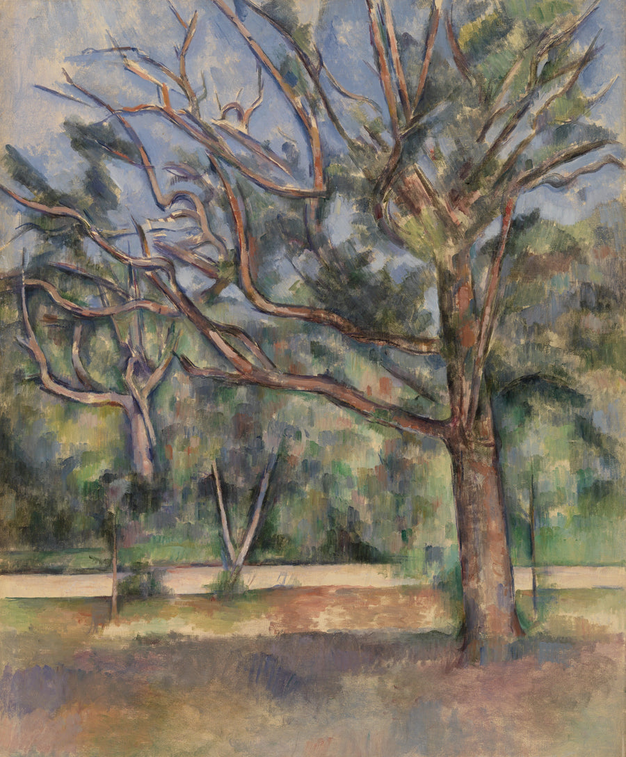 Alberi e strada - Paul Cézanne