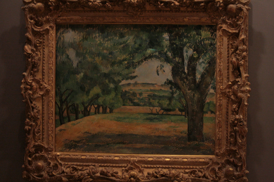 Dintorni del Jas de Bouffan - Paul Cézanne