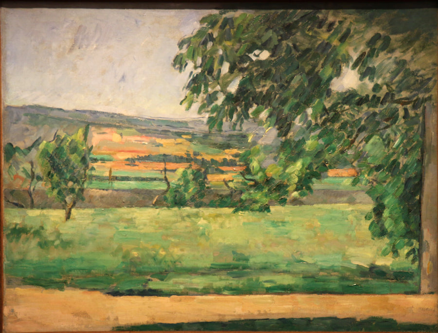 Veduta dal Jas de Bouffan - Paul Cézanne