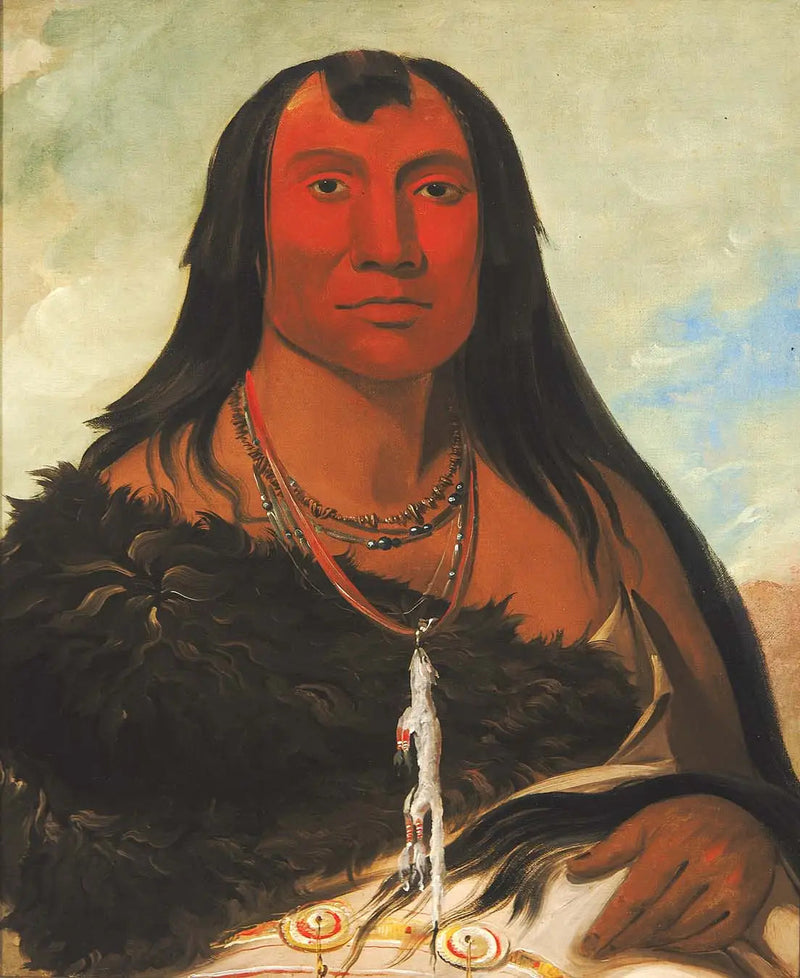 Cháh-ee-chópes, Quattro Lupi, un capo in lutto - George Catlin