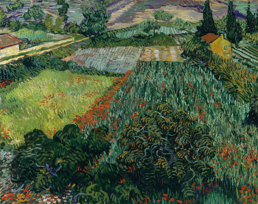 Campo di papaveri - Vincent van Gogh