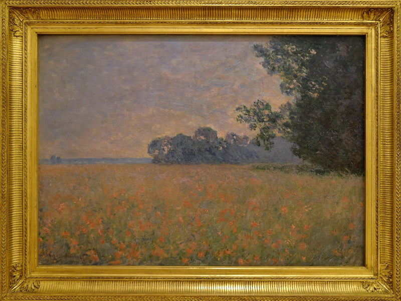 Campo di avena con conchiglie - Claude Monet