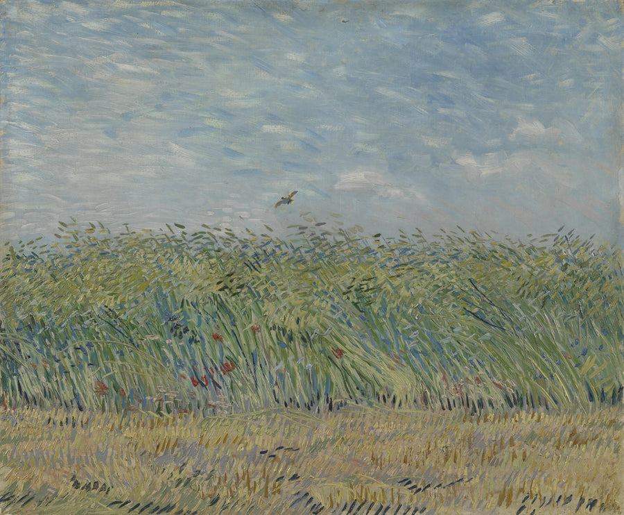 Campo di grano con allodola - Vincent van Gogh