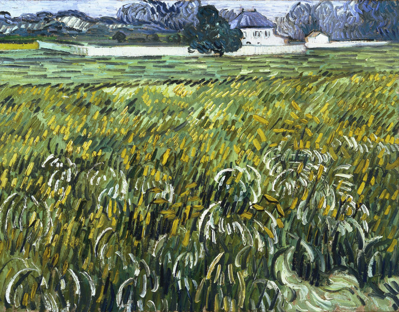Campo di grano ad Auvers con casa - Vincent van Gogh