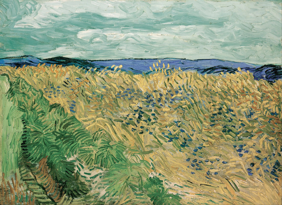 Campo di grano con fiordalisi - Vincent van Gogh