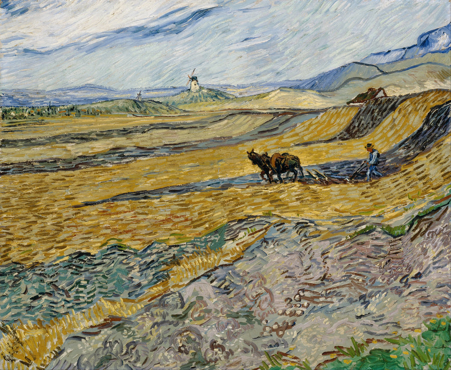 Campo recintato con aratore - Vincent van Gogh