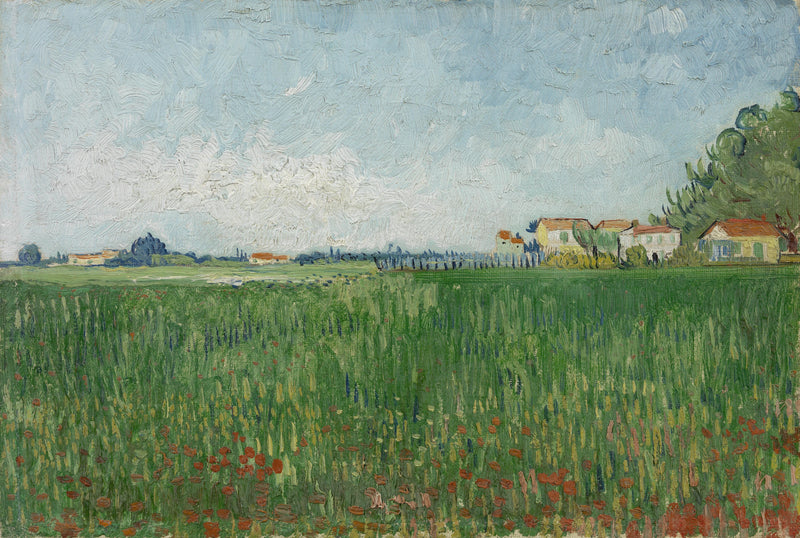 Campo di papaveri - Vincent van Gogh