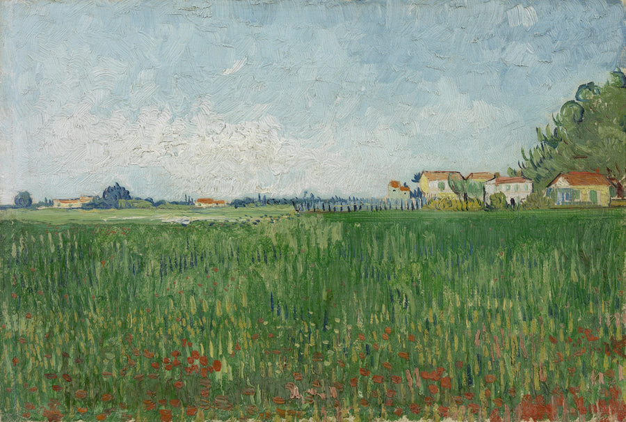 Campo di papaveri - Vincent van Gogh