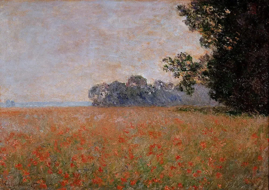 Campo di avena con conchiglie - Claude Monet