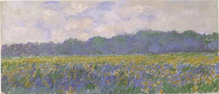 Campo di iris gialli a Giverny - Claude Monet