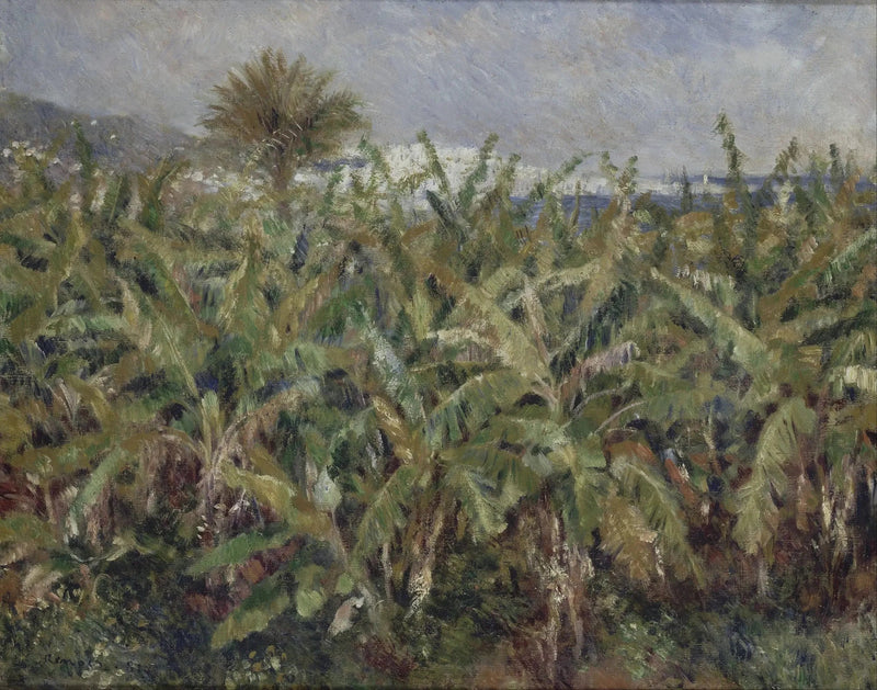 campo di banane - Pierre-Auguste Renoir