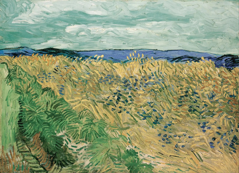 Campo di grano con fiordalisi - Vincent van Gogh
