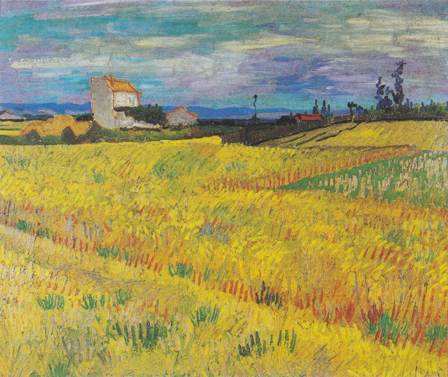 Campo di grano - Vincent van Gogh