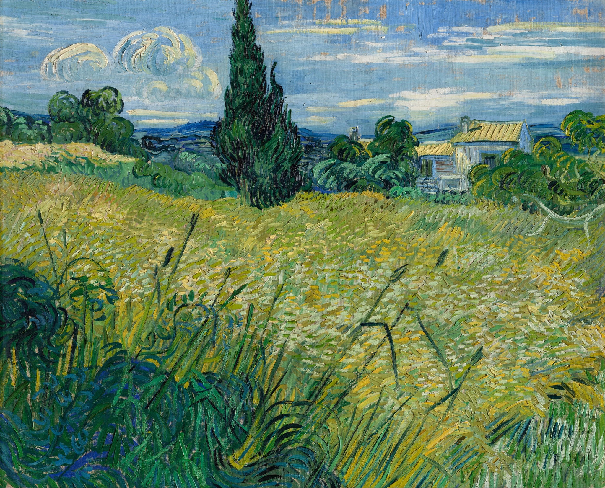 Champ de blé vert avec cyprès F719 de Vincent van Gogh, Galerie nationale de Prague