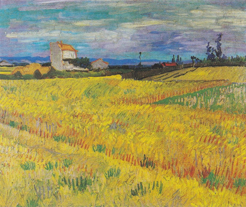Campo di grano - Vincent van Gogh