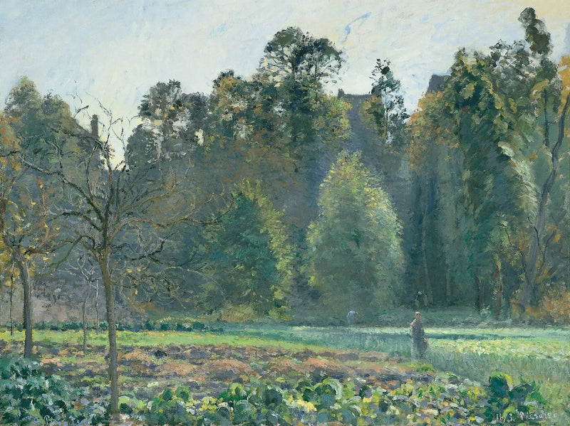 Campo di cavoli, Pontoise - Camille Pissarro