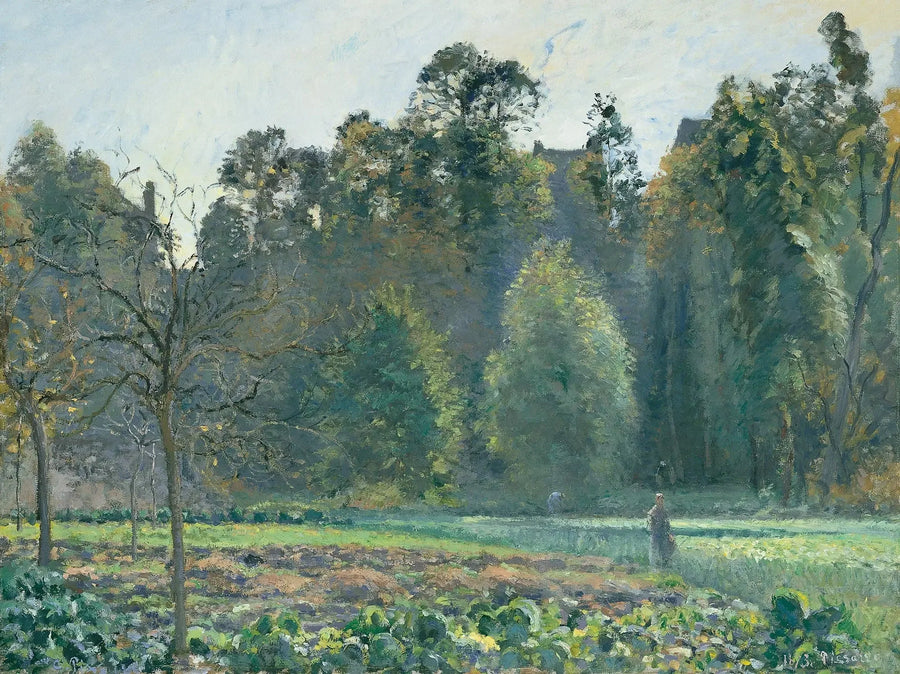 Campo di cavoli, Pontoise - Camille Pissarro