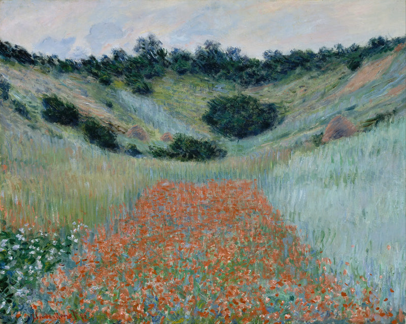 Campo di papaveri in una conca vicino a Giverny - Claude Monet