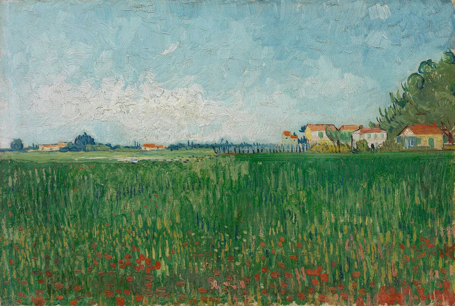 Campo di papaveri - Vincent van Gogh