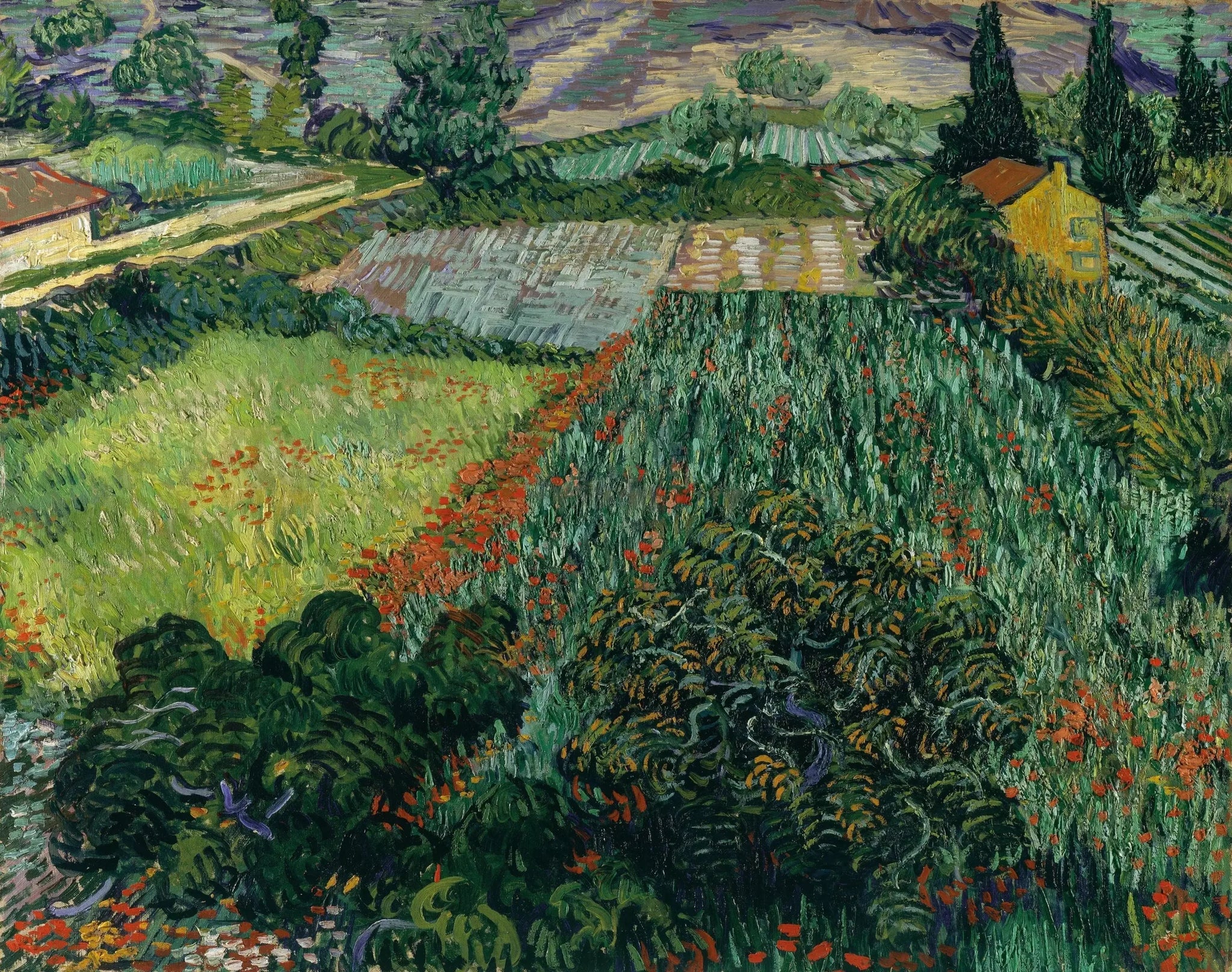 Champ de coquelicots - Vincent van Gogh image 1 copie peinte à la main à l’huile