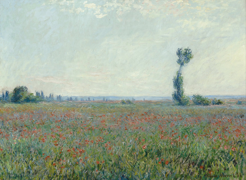 Campo di papavero W677 - Claude Monet