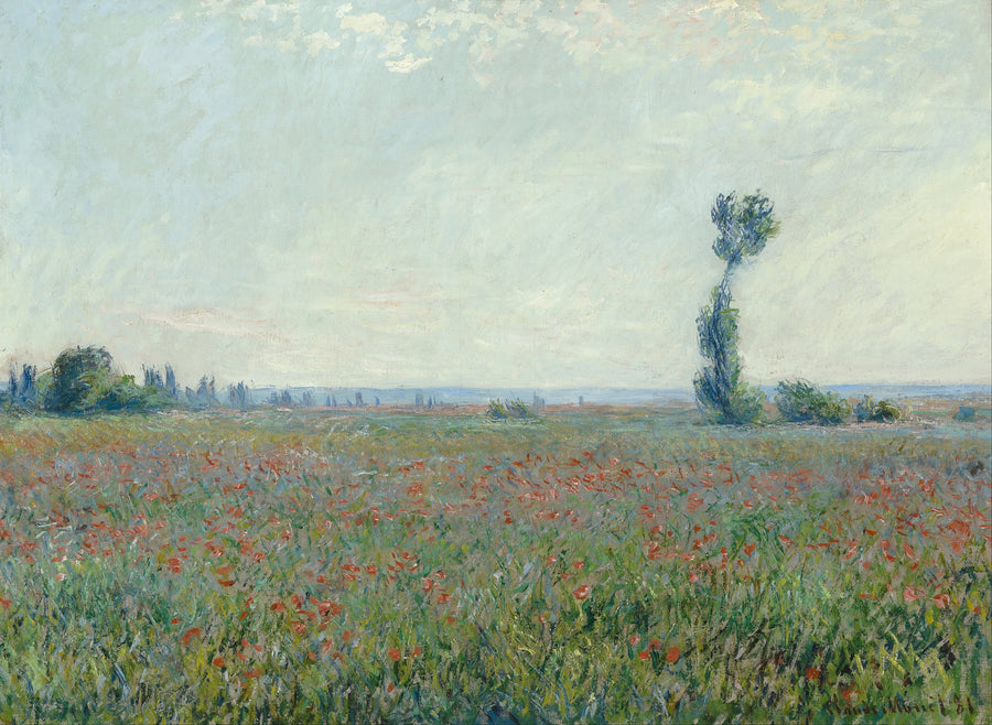 Campo di papavero W677 - Claude Monet