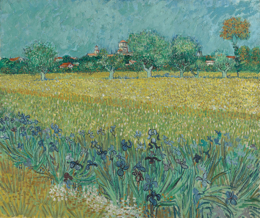Il Campo di grano con iris - Vincent van Gogh