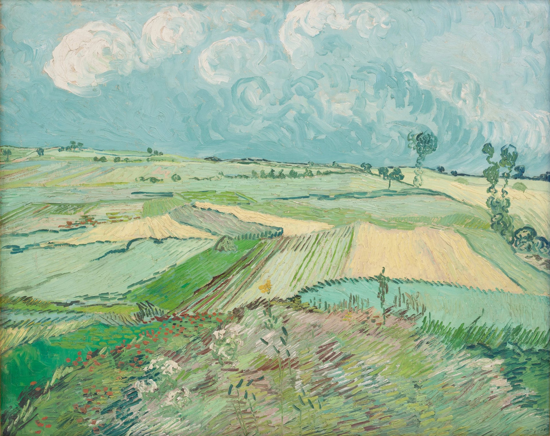 Champs de blé après la pluie, la plaine d’Auvers, de Vincent van Gogh, 1890