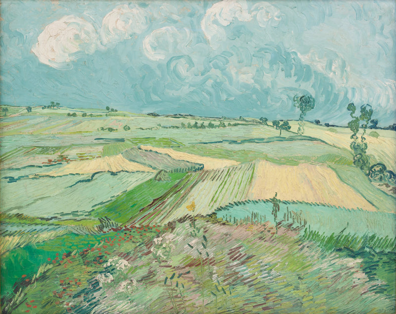 Campi di grano dopo la pioggia - Vincent van Gogh